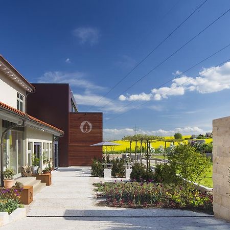 Hotellerie&Spa "Einfach Schon" Dresda Esterno foto
